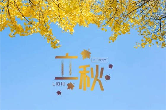 00e93901213fb80eaf9fa580f81ac426b8389474.jpeg 00e93901213fb80eaf9fa580f81ac426b8389474.jpeg