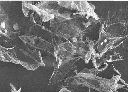 640.webp (3).jpg 640.webp (3).jpg